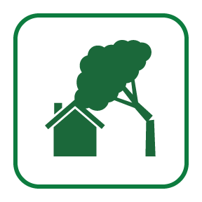 emergency tree service icon
